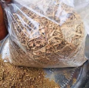 ibogaine treatment